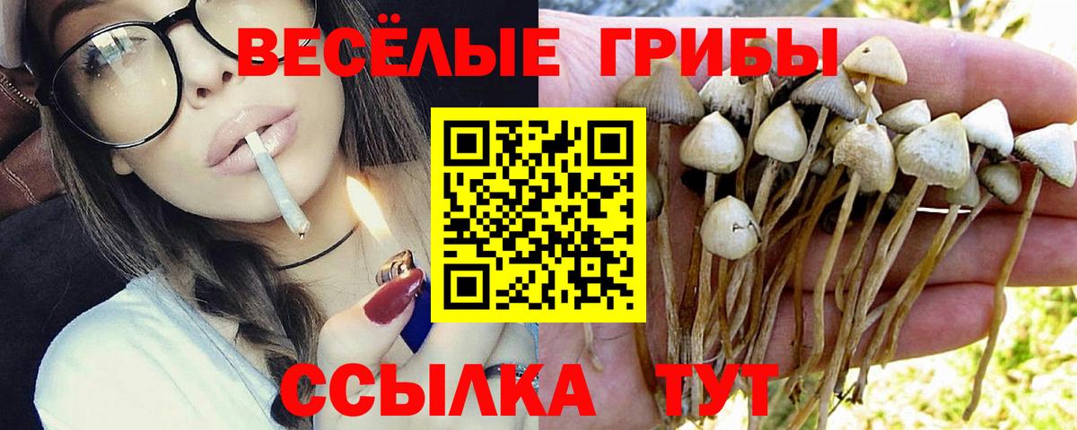 ГАШИШ Гудермес